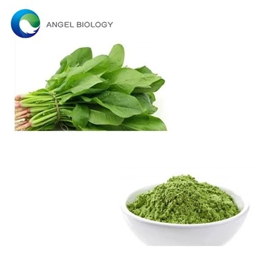 Does Spinach Powder Have the Same Nutrients as Fresh Spinach?